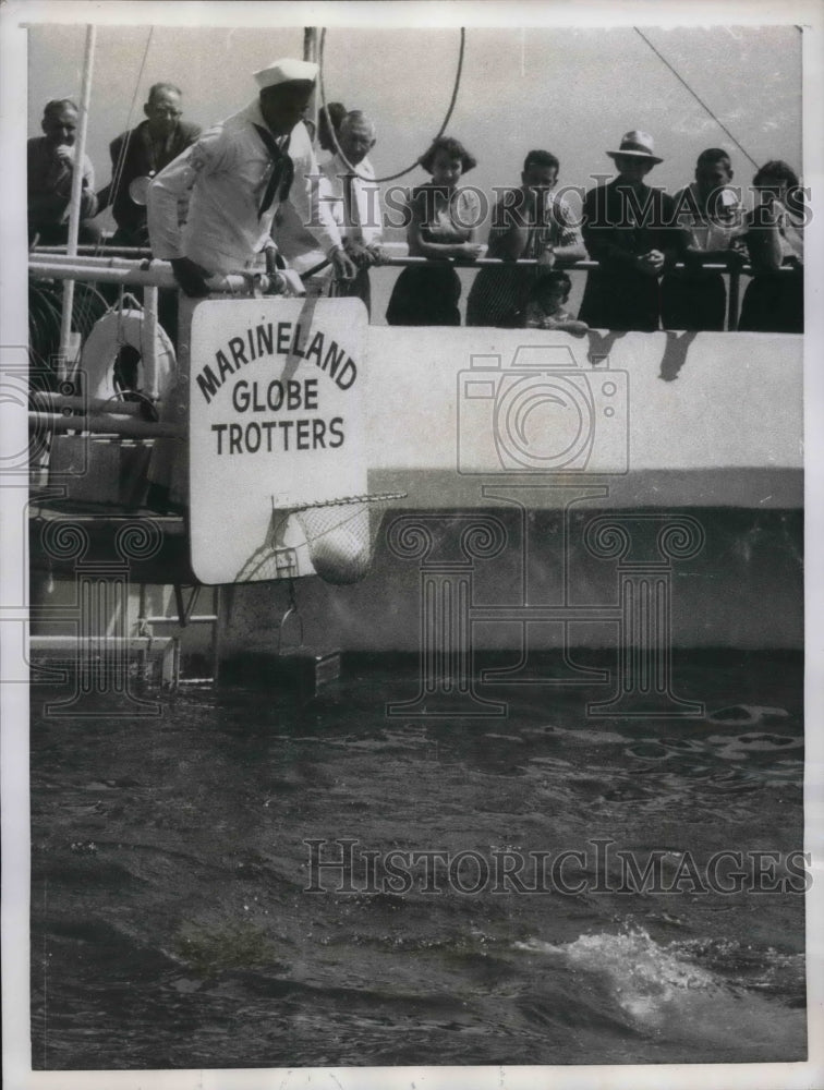 1956 Marineland in Los Angeles, Calif looking for a porpoise - Historic Images