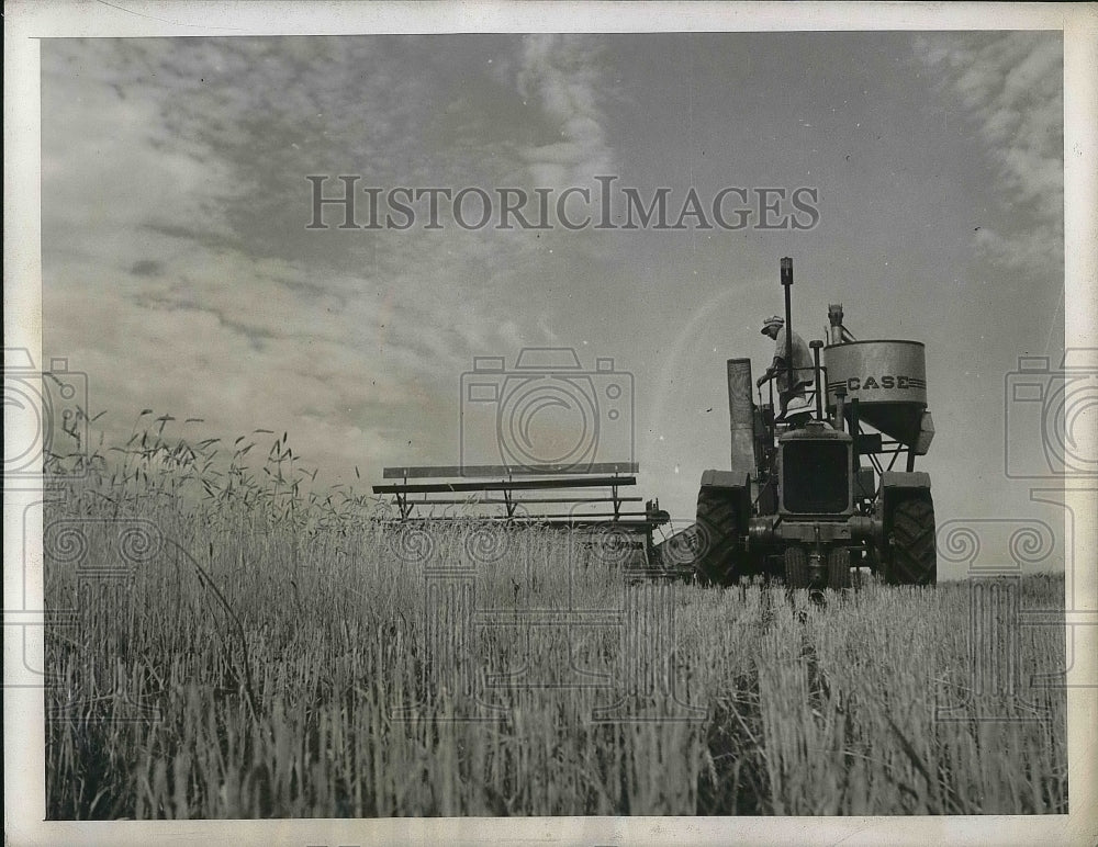 1941 Press Photo Whole Threshing crew working manually. - nea35220 - Historic Images