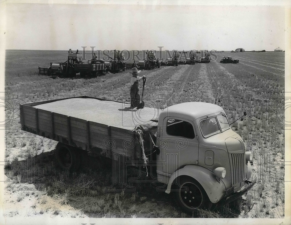 1943 Press Photo Les Parker Parker&#39;s wheat Ranch, Truck loaded with Grains. - Historic Images