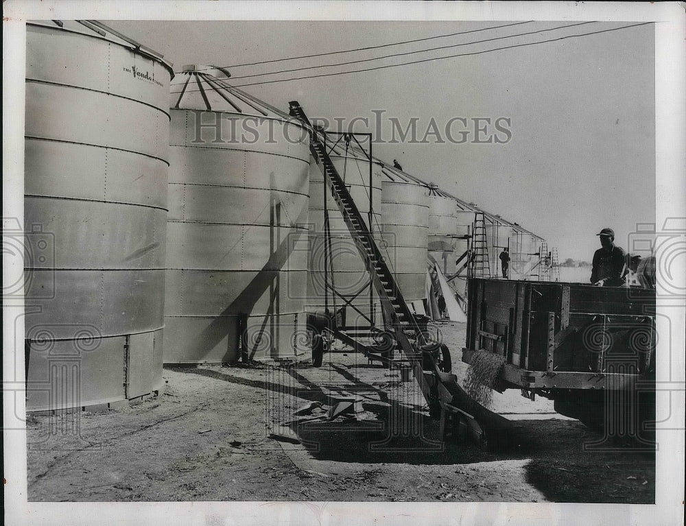 1949 Press Photo Corn being put into new storage bins - Historic Images