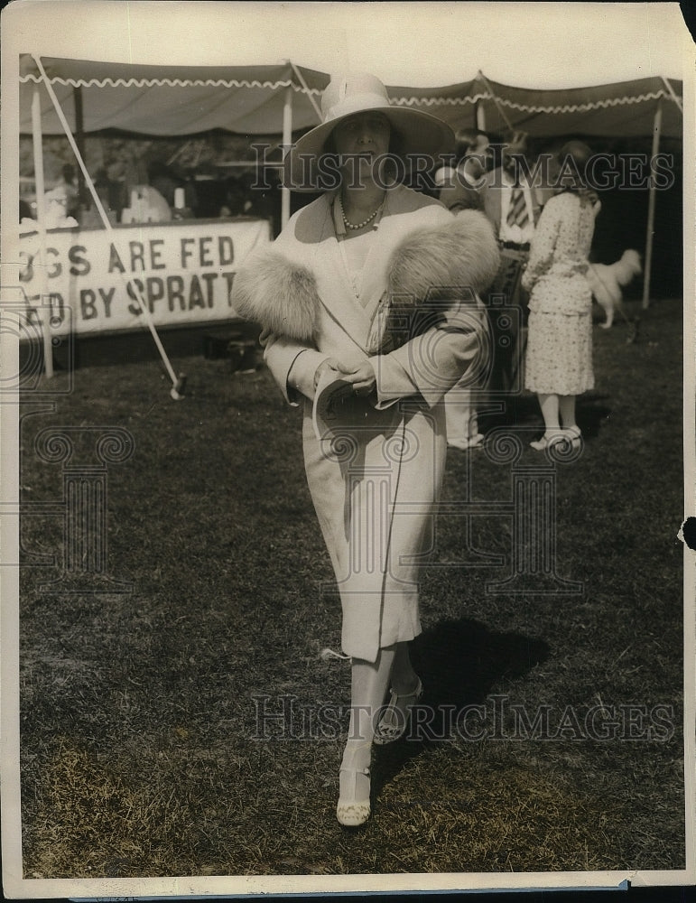 1926 Press Photo Annual Dog Show North Side Kennel Club Mrs Spencer Waters - Historic Images