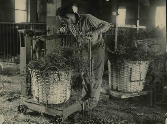 1922 Press Photo Milk Production at Experimental Farm in Maryland - nea36768 - Historic Images