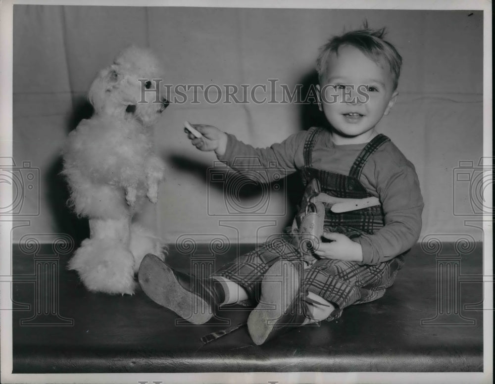 1946 Press Photo Jon Wayne Eccleston 2 Yrs Feeds Toy Poodle &quot;Cinderella&quot;-Historic Images