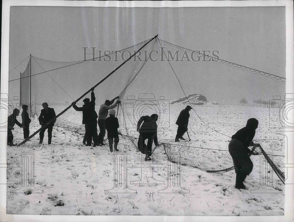 1957 Press Photo Czechoslovakian Hunters Trapping Game With Nets For Game Parks-Historic Images
