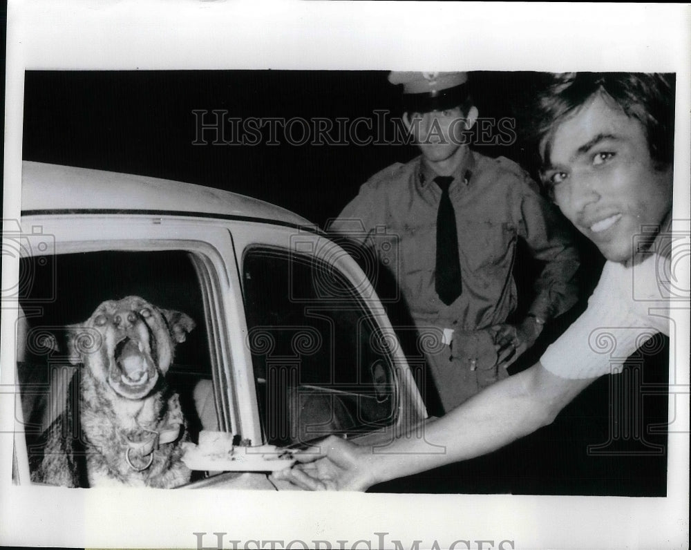 1971 Press Photo stray dog refuses to leave Vincent Morelli&#39;s car, Rome - Historic Images