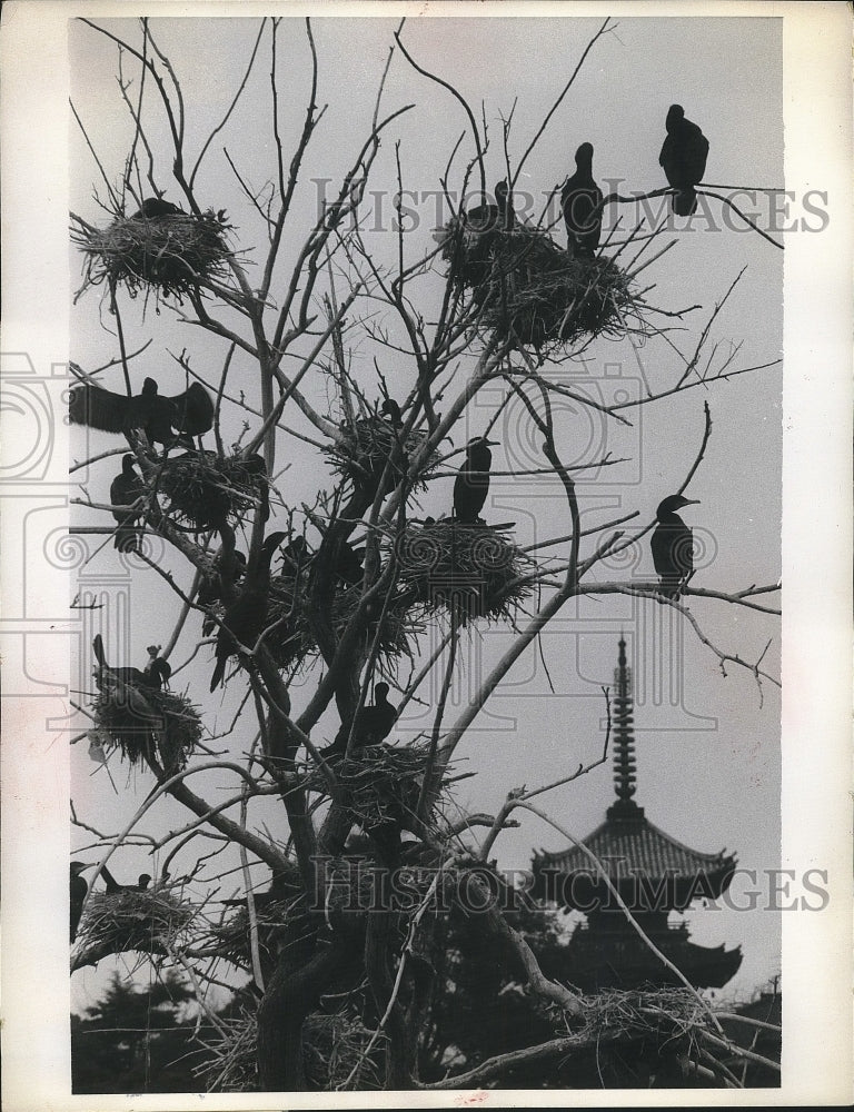 1975 Press Photo Tokyo Commorants old temple - nea38532 - Historic Images