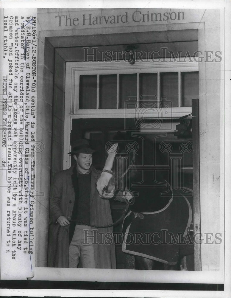 1955 E.H. Harvey of Cleveland with &quot;Old Dobbin&quot; Horse  - Historic Images