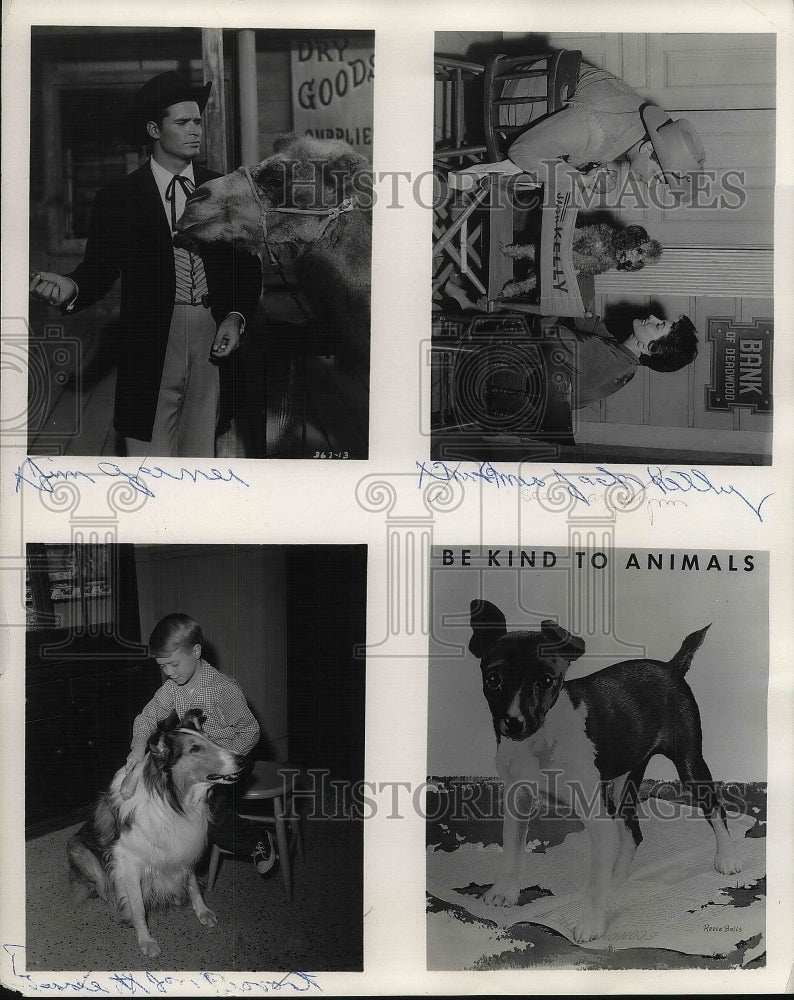 1959 Press Photo Be Kind To Animals Week - Historic Images