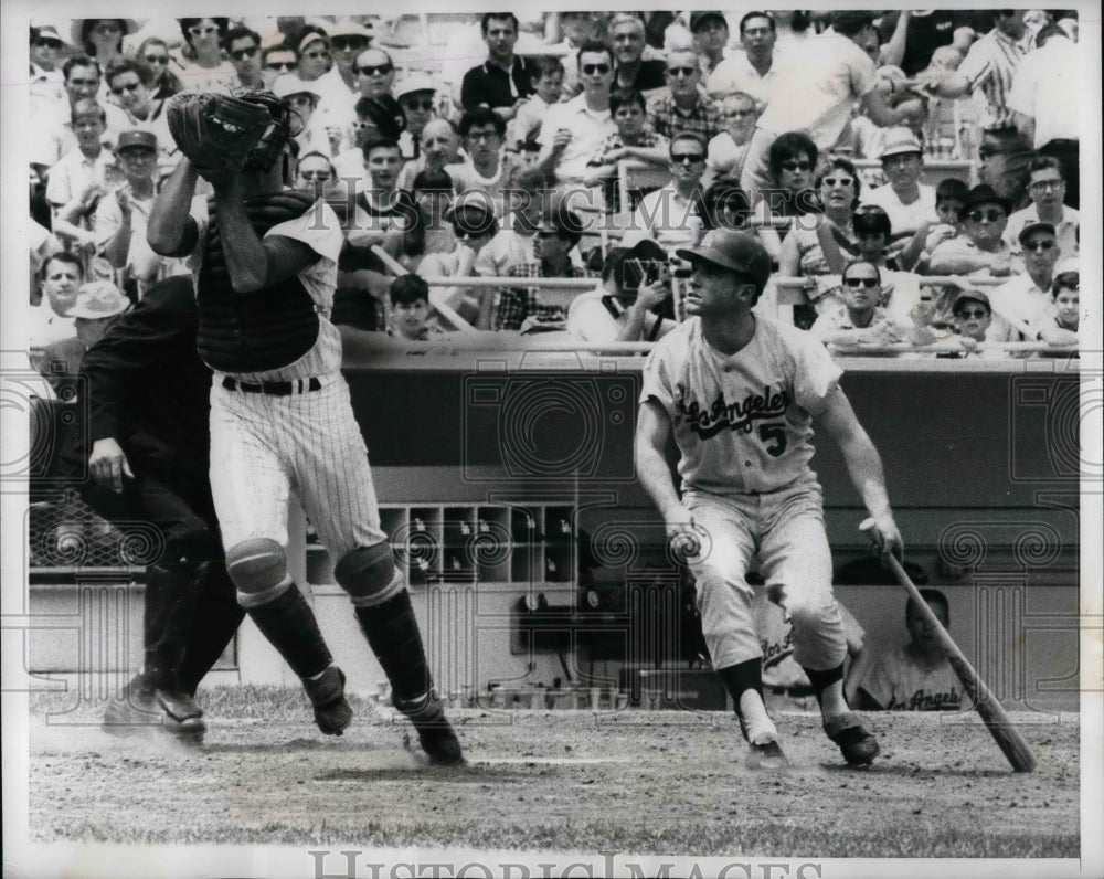 1966 Press Photo Bob Taylor Mets Catcher Grabs Jim Lefebvre Dodgers Pop Bunt - Historic Images