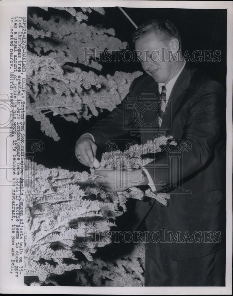 1954 Jackie Jensen of Boston Red Sox Adjusts Christmas Tree Lights - Historic Images