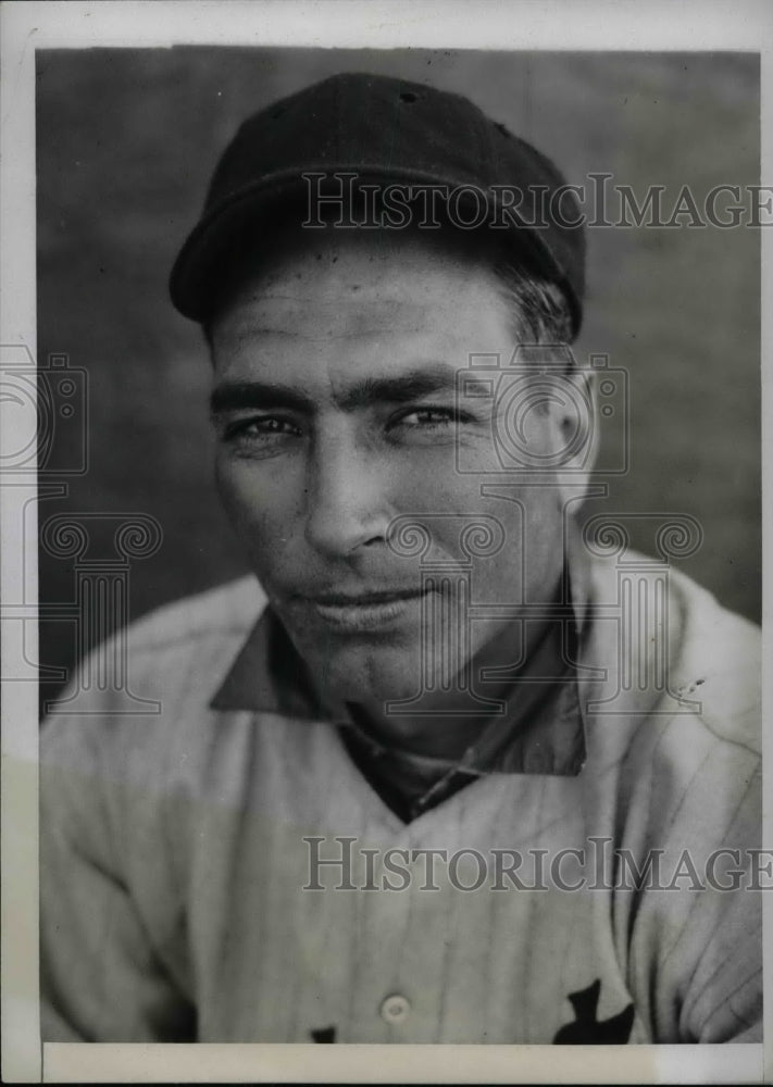 1934 Press Photo Elon Hogstett of the Detroit Tigers - Historic Images