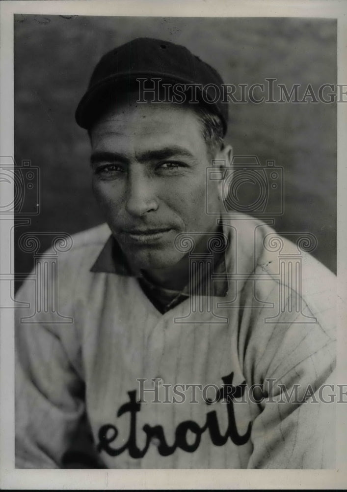 1934 Elon Hogstett of the Detroit Tigers  - Historic Images