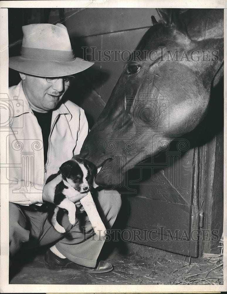 1943 Press Photo Horse owner Al Ichelson with horse Dr Rush &amp; puppy Chiquita - Historic Images