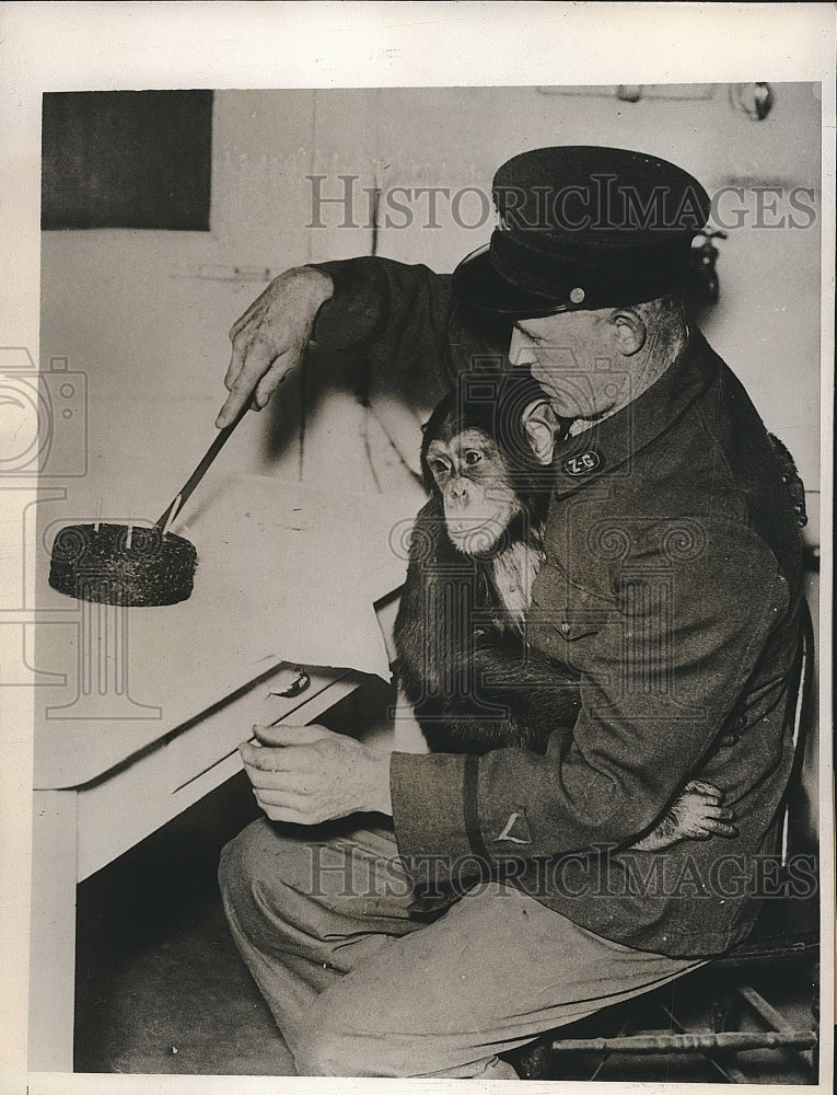 1933 Press Photo Female chimpanzee in Philadelphia Zoo - Historic Images