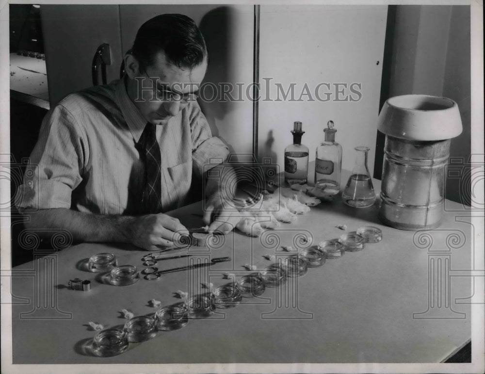 1940 Press Photo Biochemist Merlin Mundell Conducts Tests On Rickets Vaccine - Historic Images