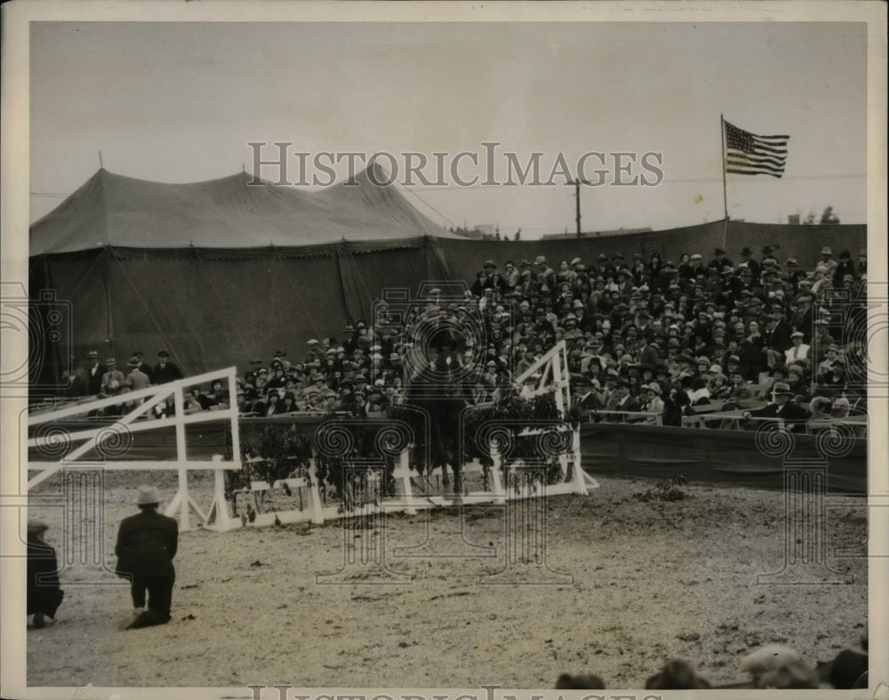 1927 Glory's Lady in the hunter's class, Beverly Hills, California - Historic Images