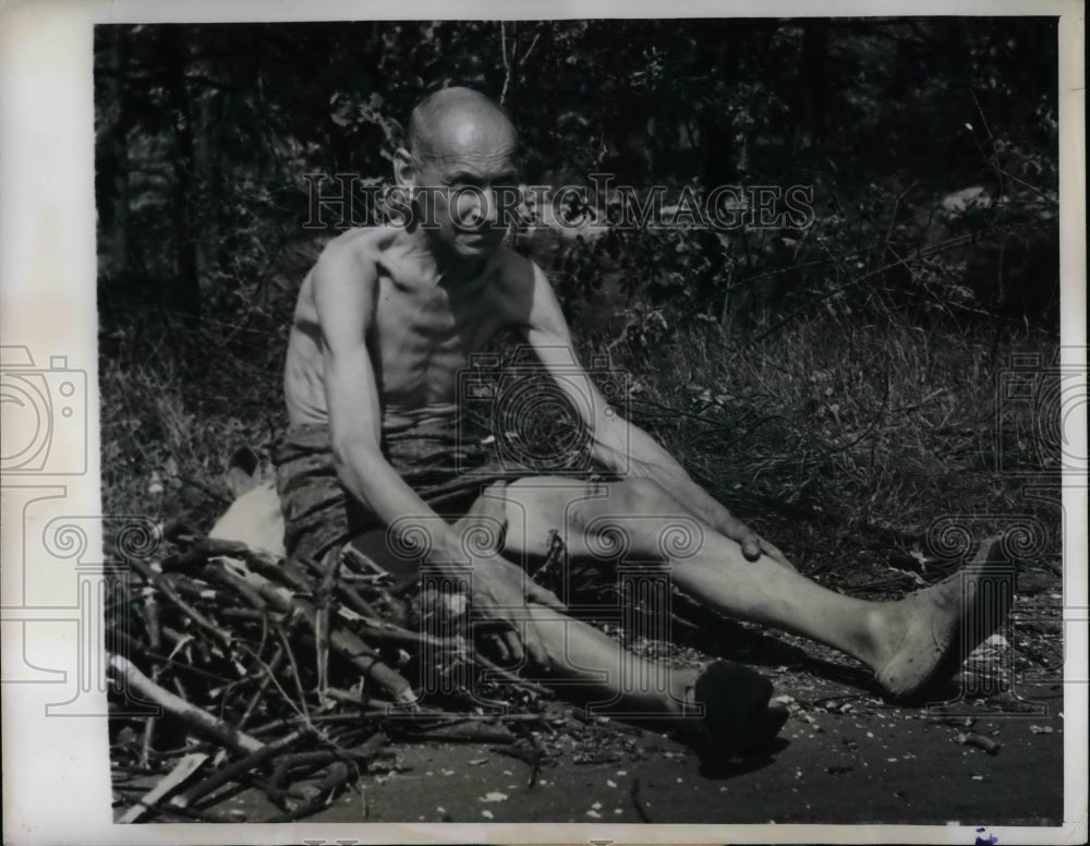 1947 Fritz Haase Gathering Wood for Winter in Germany - Historic Images