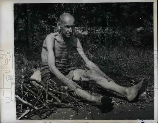 1947 Fritz Haase Gathering Wood for Winter in Germany - Historic Images