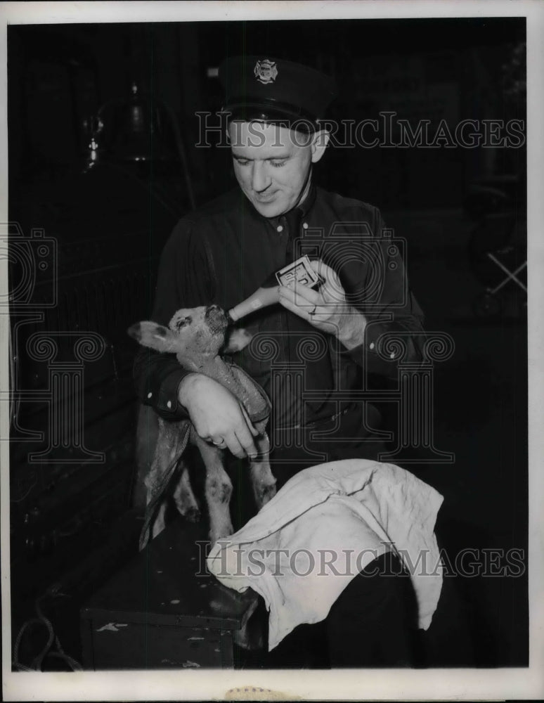 1948 Chicago fireman Jack McKay & new mascot a ram - Historic Images