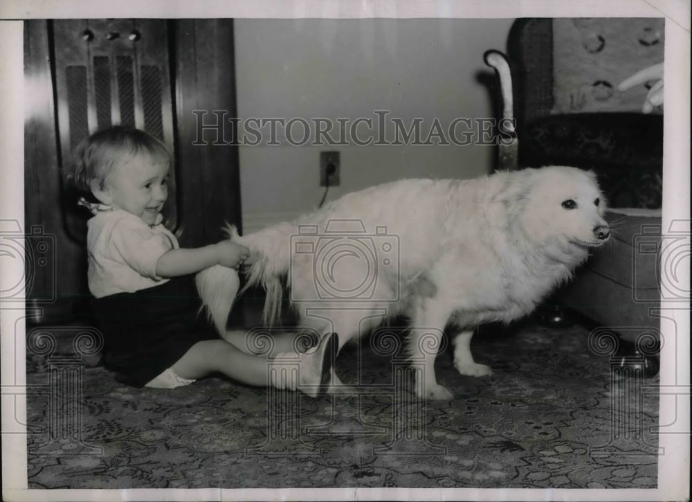 1937 Fred Roeder Jr., pulled the tail of his Dog. - Historic Images