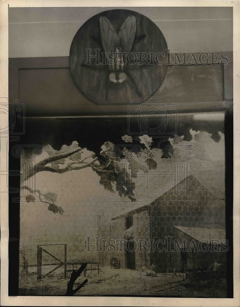 1939 Press Photo Outdoor Scene As Shown Through The Eyes Of A Fly - Historic Images
