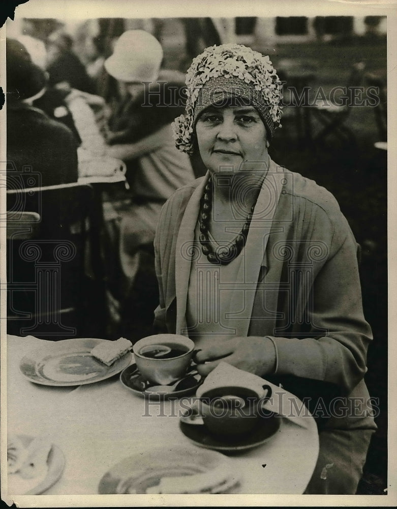 1929 Press Photo Mrs J Weston Allen Wife Of Former Attorney General - Historic Images