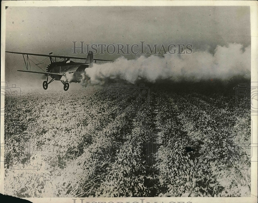 1929 Press Photo Million Acres of Land in Mexico-Historic Images