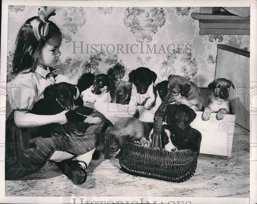1954 Dorothy Parker &amp; pet labrador , collie puppies  - Historic Images