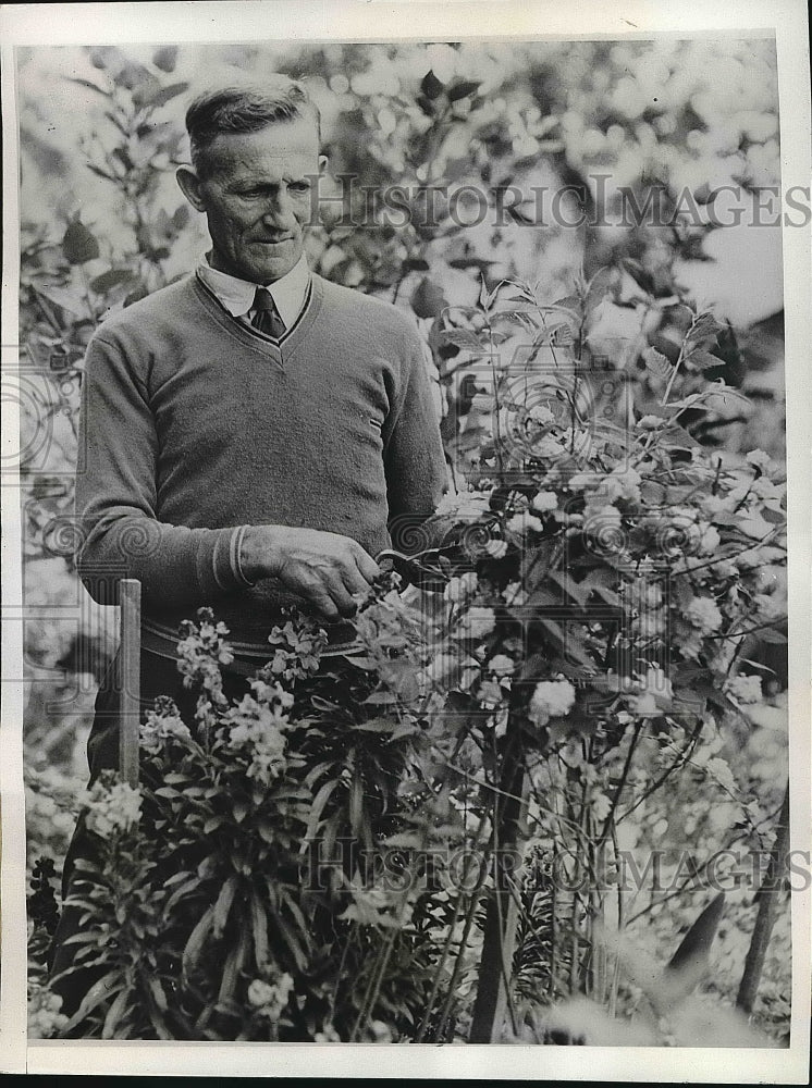 1934 Plant Wizard Louis Jago of California - Historic Images