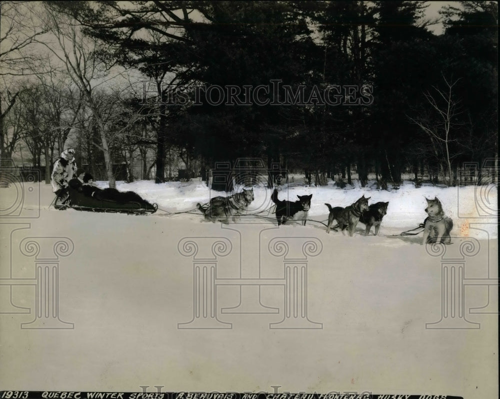 1930 Press Photo Dog Team Derby - Historic Images