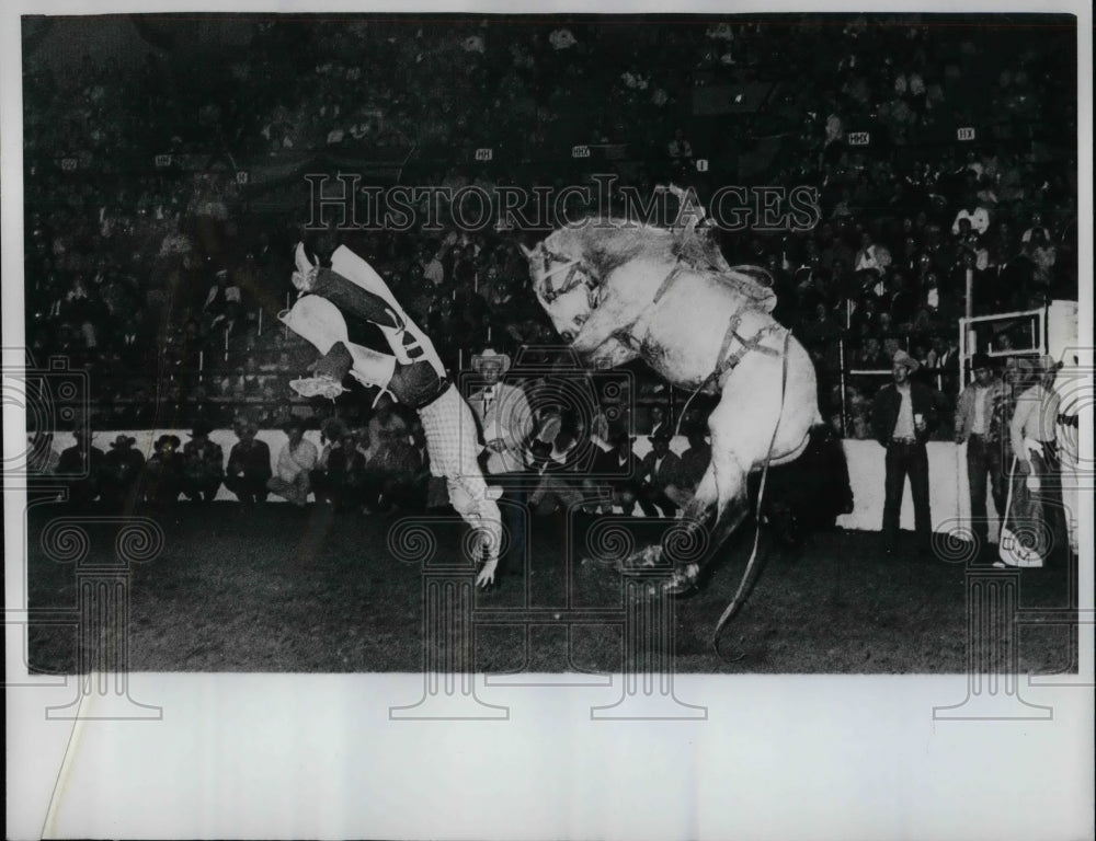 1962 Rodeeo performers &amp; a bronco at Denver, Colorado  - Historic Images