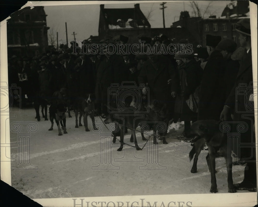 1925 Press Photo JS Fry &amp; sons &amp; their dog sled team - nea50157 - Historic Images