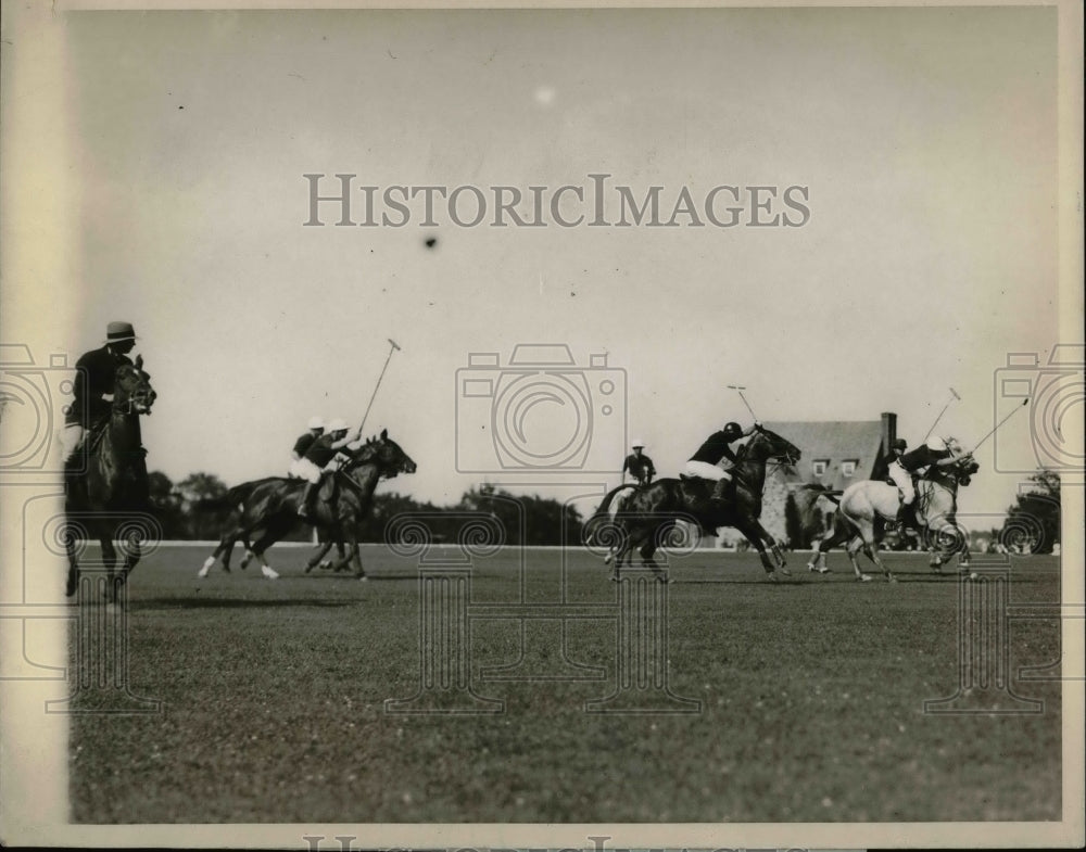 1926 Harvard versus Princeton at Polo match  - Historic Images