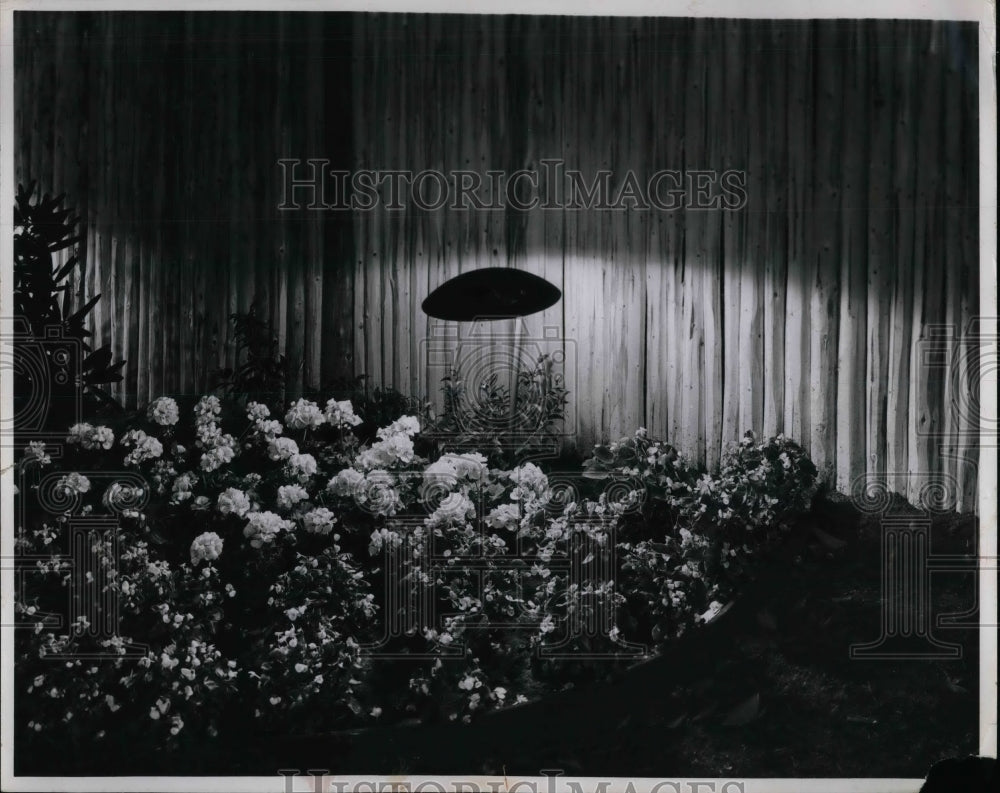 1957 Light Shining On Bunch Of Flowers  - Historic Images