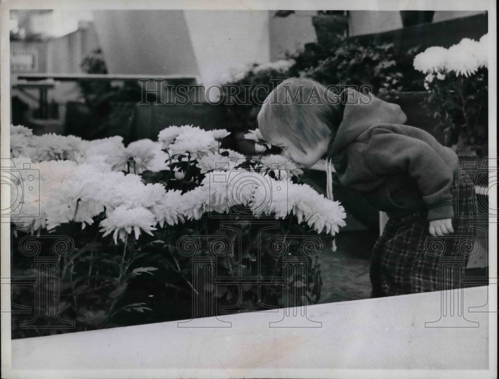 1961 Colleen Cahill Bends To Smell Flowers 45th Penn. Farm Show - Historic Images