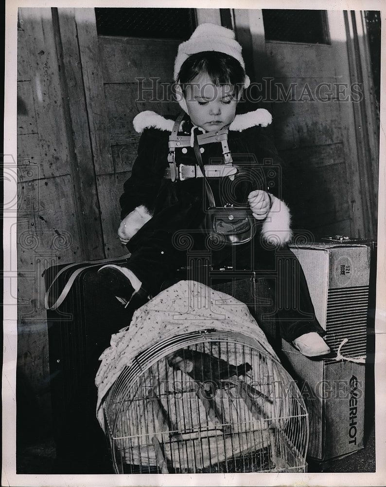 1952 Press Photo Andretta Cowan age 1 &amp; a pet bird - nea50980 - Historic Images