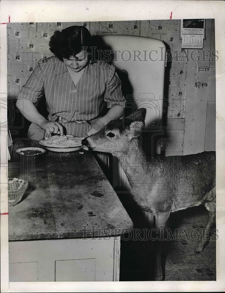 1947 Press Photo Lockwood, NY Mrs Tappan &amp; her pet deer at home - nea51115-Historic Images