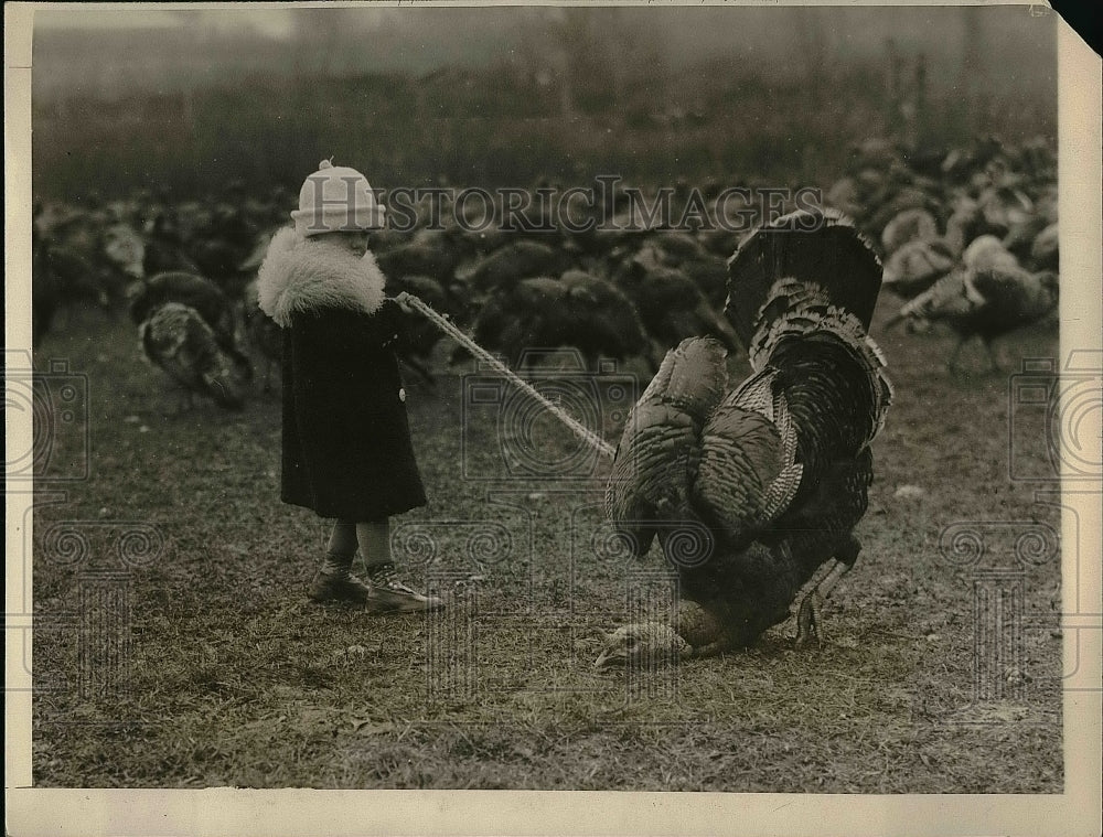 1926 Press Photo Mittle Mary Benner, drag a Turkey bought at Hatfield. - Historic Images