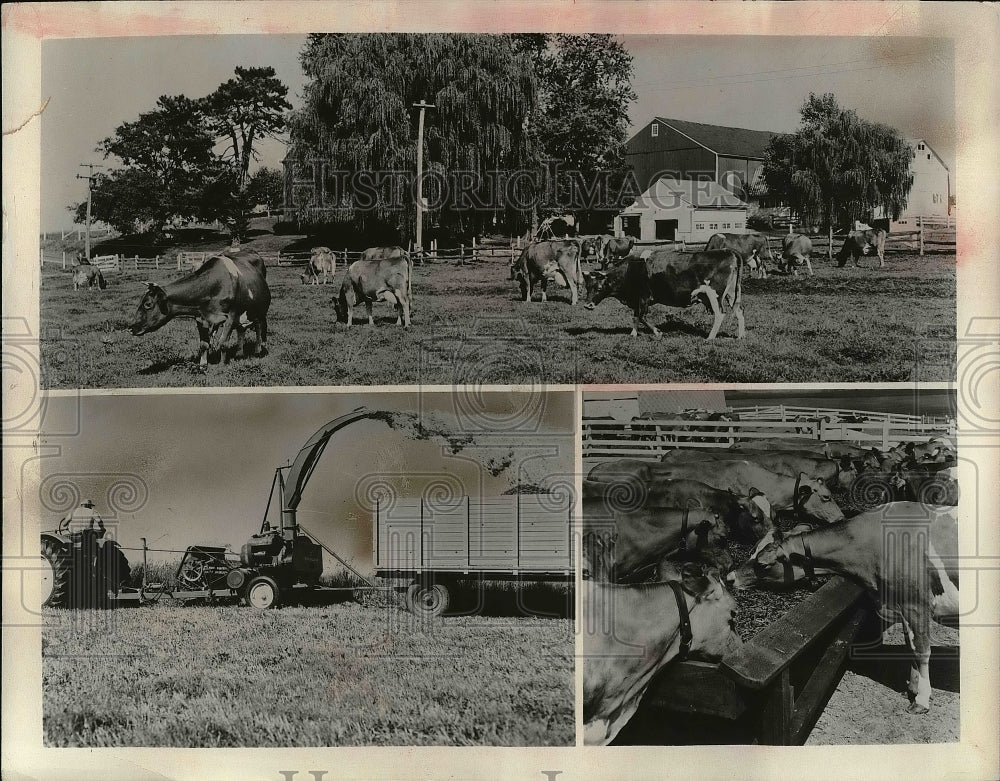 1954 Pastoral farm scene in Pennsylvania  - Historic Images