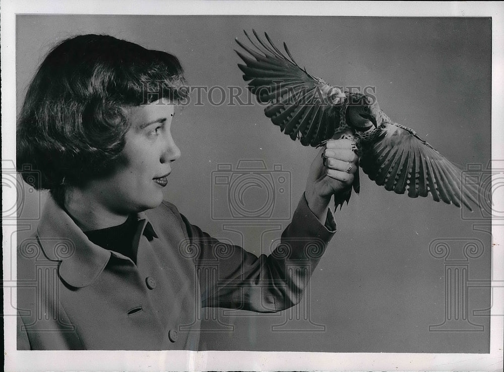 1953 Joan Horgan &amp; a yellow flicker bird  - Historic Images