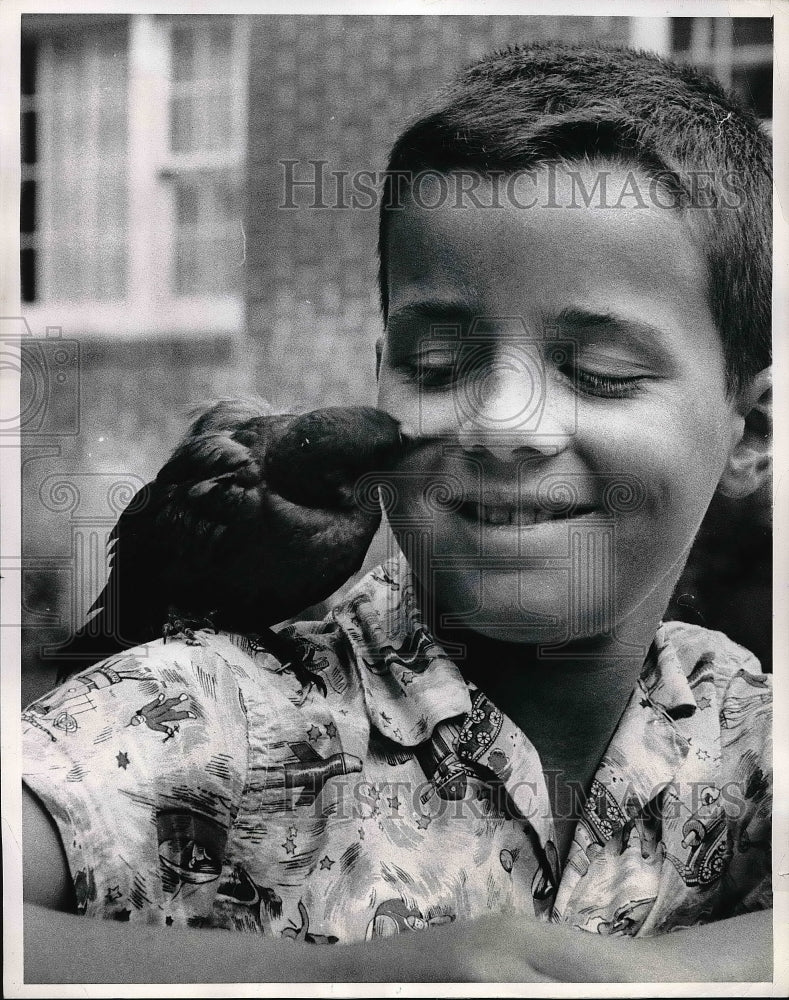 1961 Pail Howard and hos pet crow in Wethersfield, Conn  - Historic Images