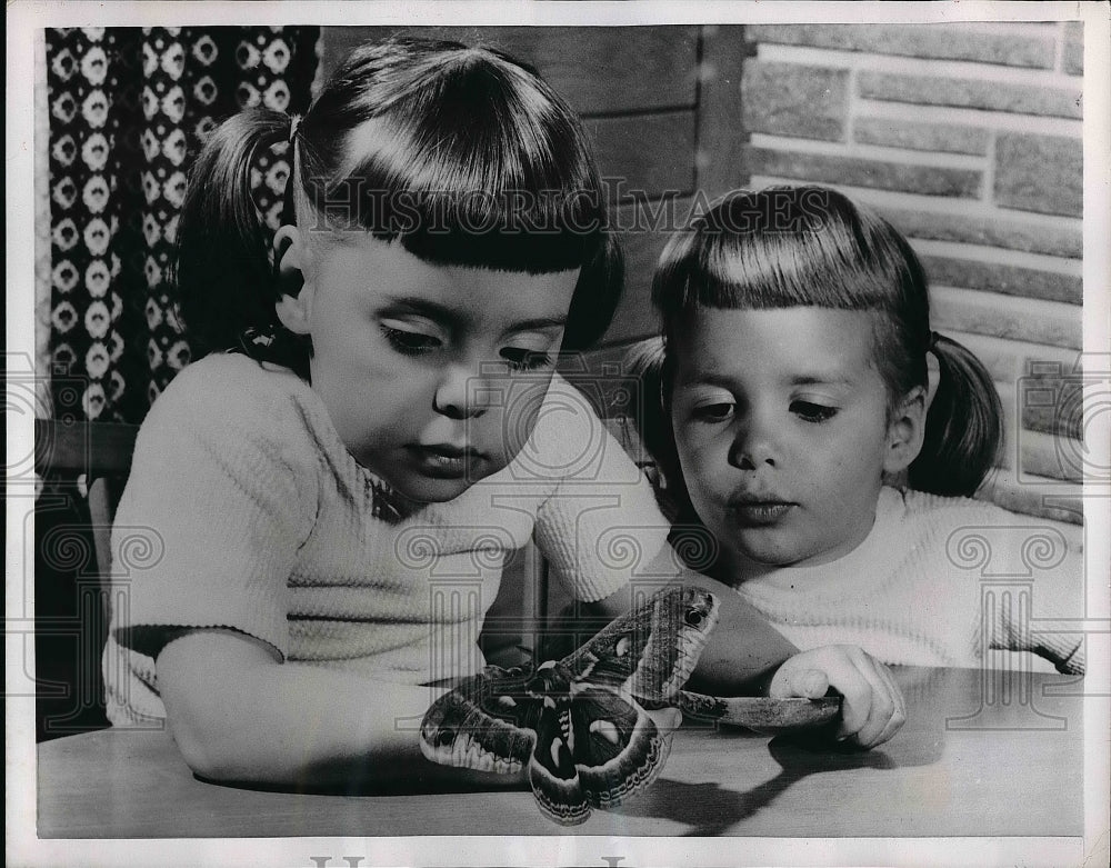 1956 Becky &amp; Bobby Sicora &amp; a moth hatching from caterpillar - Historic Images