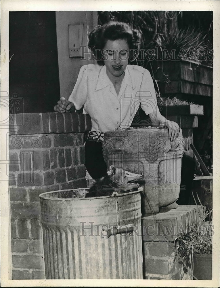 1946 Press Photo Mrs Marjorie Stephenson of Hayward, Ca. &amp; an oppossum - Historic Images