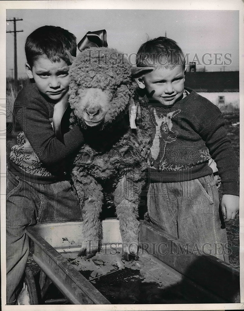 1951 Press Photo William &amp; Robert Seargeant &amp; a lamb in Des Moines, Iow - Historic Images