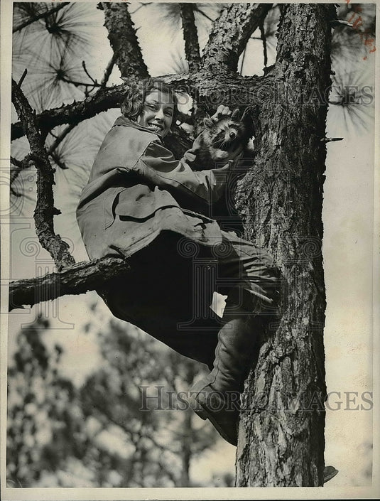 1932 Press Photo Mary Sheppard of NY & a raccoon in a tree - nea52507-Historic Images