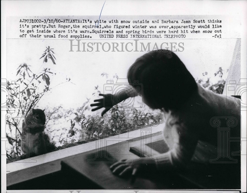 1960 Barbara Jean Scott Watches Squirrel Out Window  - Historic Images