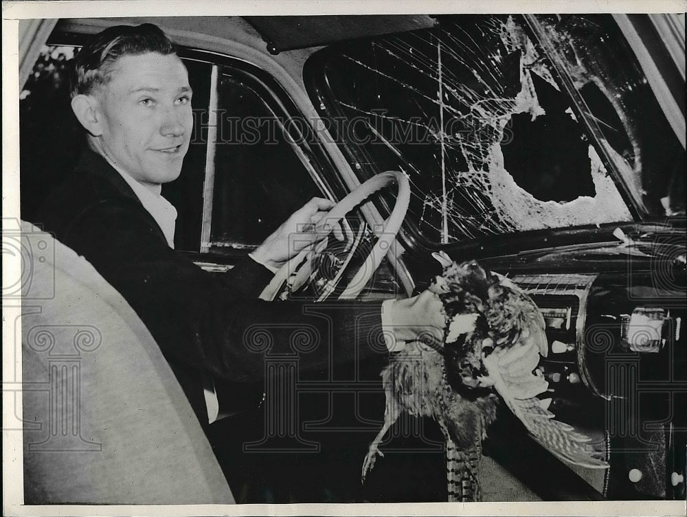 1941 Press Photo Rudy Hotovy Cock Pheasant crashed through windshield - Historic Images
