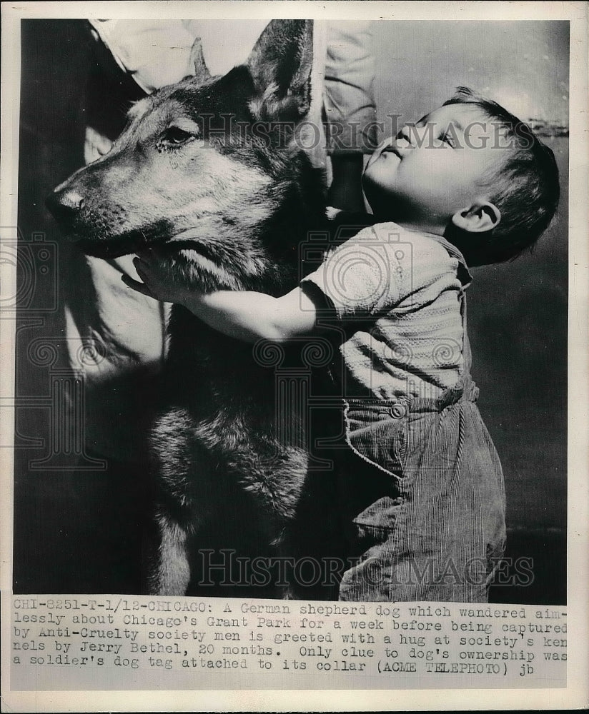 1950 German Shepherd Chicago's Grant Park Jerry Bethel  - Historic Images