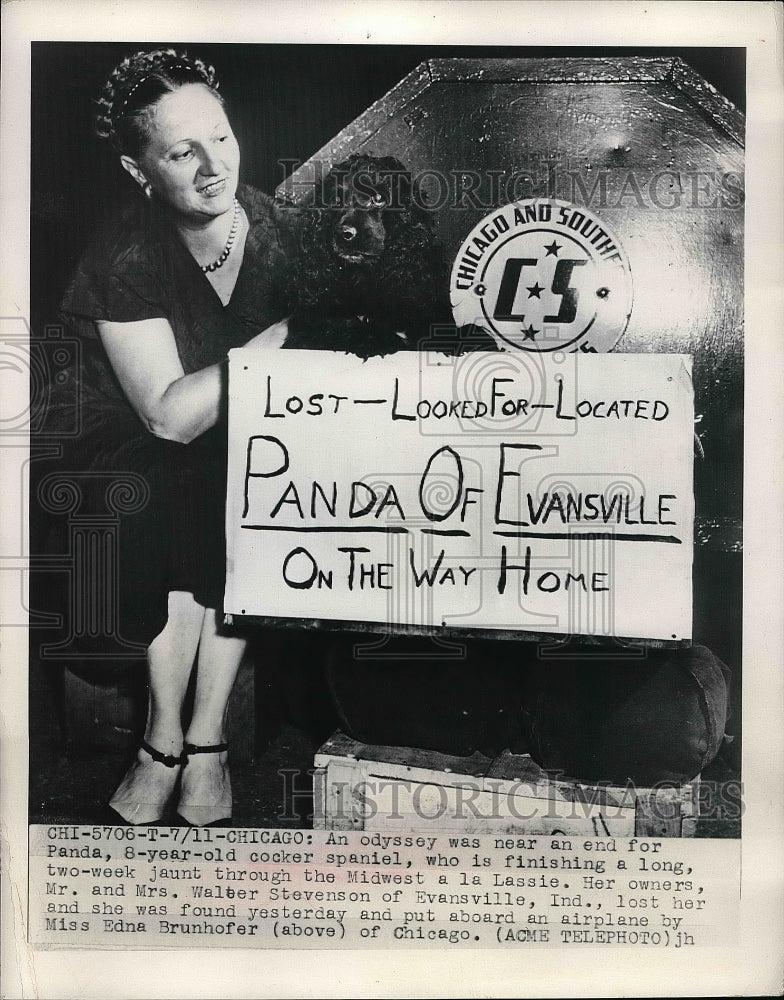 1949 Panda CCocker Spaiel Lost Edna Brunhofer  - Historic Images