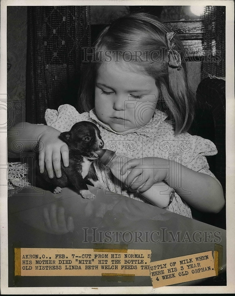 1947 Press Photo Child Linda Beth Welch Feeding Puppy with Bottle - nea53505 - Historic Images